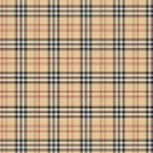 Meet your Posher, Addison